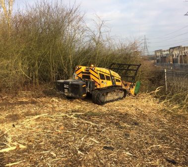 Building Development Land Clearance Undergrowth Vegetation Clearance Service in Derby Burton