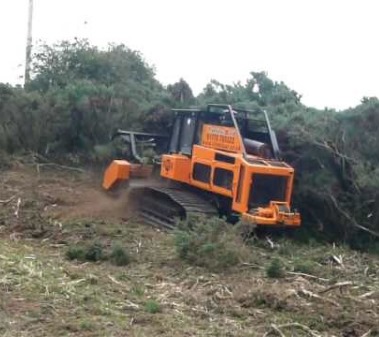 Site Clearance Services Derby Burton on Trent