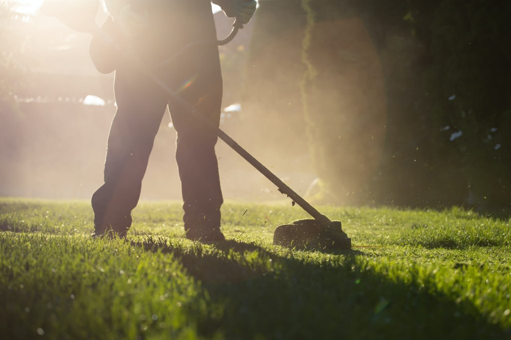 Derby Lawn Maintenance Grounds Maintenance Company and Landscape Grounds Management in Burton on Trent