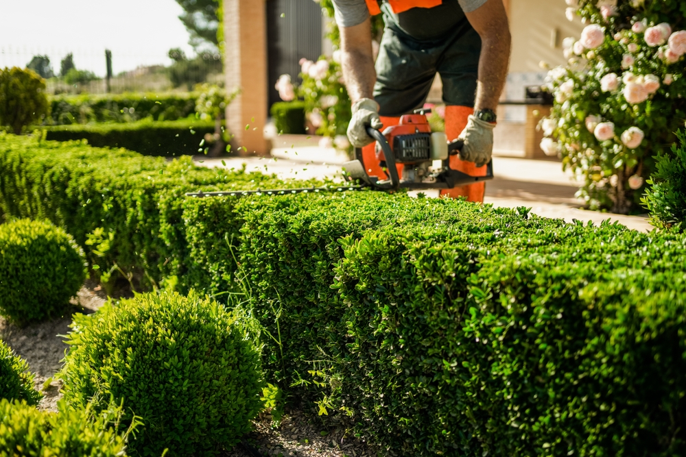 Derby Hedge Cutting Company and Landscape Grounds Management in Burton on Trent